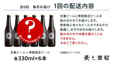 【 6ヶ月連続 】 クラフトビール おまかせ 定期便 6本セット 飲み比べ 茨城県産 牛久醸造場 330ml × 6本 ビール 地ビール クラフト お酒 贈り物 ギフト 詰め合わせ