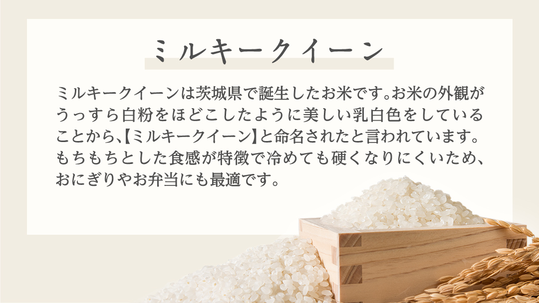 《 令和7年産 》 茨城県産 ミルキークイーン ( 5kg × 1袋 )  期間限定 米 コメ こめ 五ツ星 高品質 白米 精米 時短 単一米
