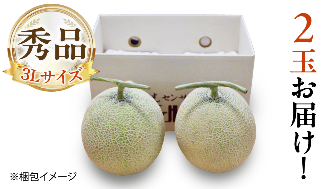 【 先行予約 】茨城県産 アールスメロン 秀品 3L サイズ × 2玉 入り おすすめ JA全農いばらき JA メロン めろん ふるさと納税 フルーツ 予約 マスクメロン くだもの 果物 国産旬 定番 旬 期間限定 青肉 果物 【 2025年8月下旬から発送 】