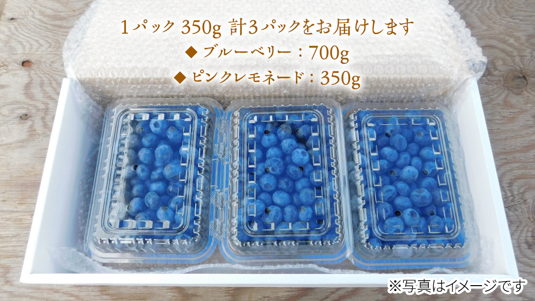≪先行予約≫ 【 数量限定 】 朝採れ 完熟 ブルーベリー 700g と ピンクレモネード 350g の 詰合せ セット 食べ比べ (1パックあたり 350g )  【 2026年 6月上旬頃より発送開始 】 数量限定 冷蔵 ベリー 甘い 甘酸っぱい 完熟 新鮮 フルーツ 果物 くだもの 贈り物 贈答 ギフト 国産 茨城 農園 産地直送