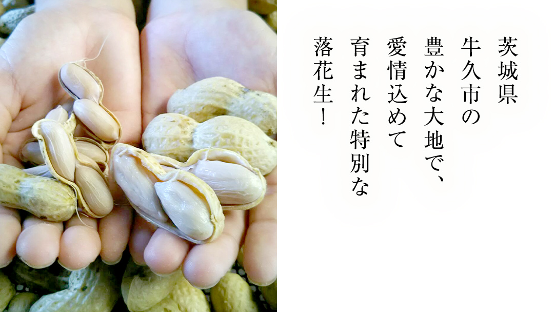 牛久市産 茹で 落花生 300g × 3袋 セット 計900g 茹で落花生 ゆで落花生 ピーナッツ ナッツ 詰合せ 豆 無塩 塩分不使用 おつまみ おやつ お菓子 素焼き マメ まめ 料理 お茶漬け 国産 小分け お取り寄せ グルメ 茨城県