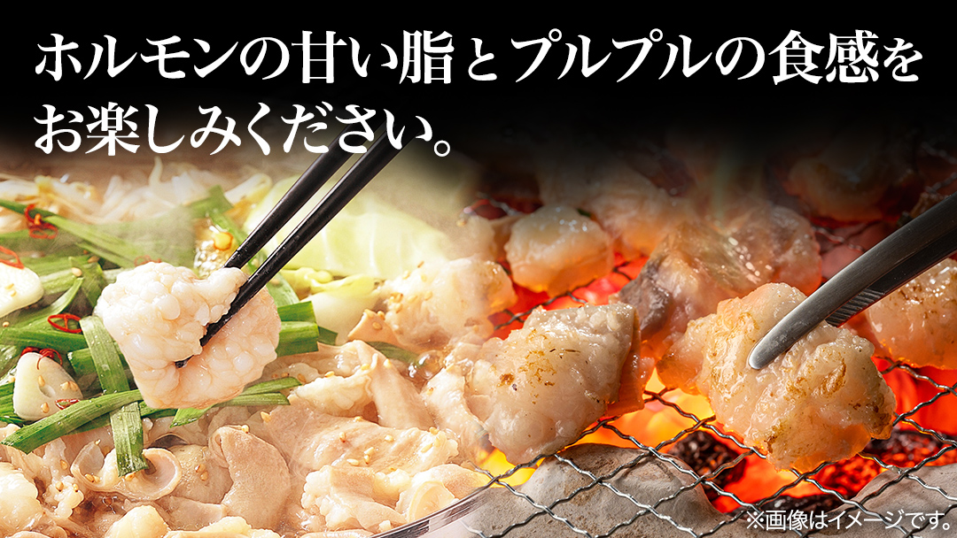 【茨城県産】 黒毛和牛 もつ鍋 焼肉用 小腸 1.2kg（200g×6パック） (茨城県共通返礼品) 国産 牛肉 肉 お肉 ホルモン もつ 焼肉