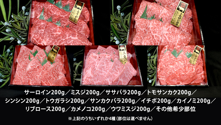 【スピード発送】 【 常陸牛 希少部位 】 焼肉 食べ比べ 4種 セット ( 茨城県共通返礼品 ) 国産 焼き肉 バーベキュー BBQ お肉 サーロイン バラ ブランド牛