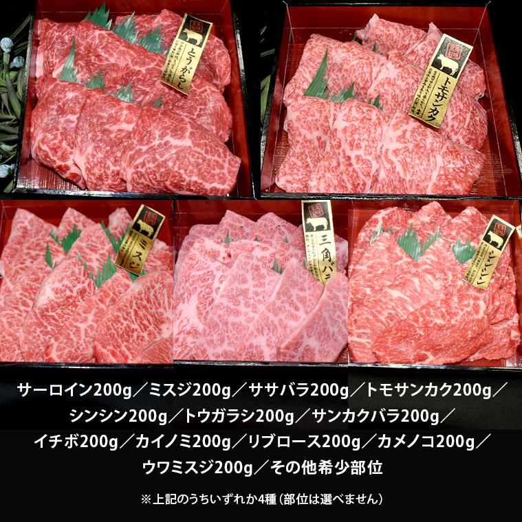 【 常陸牛 希少部位 】 焼肉 食べ比べ 4種 セット ( 茨城県共通返礼品 ) 国産 焼き肉 バーベキュー BBQ お肉 サーロイン バラ ブランド牛