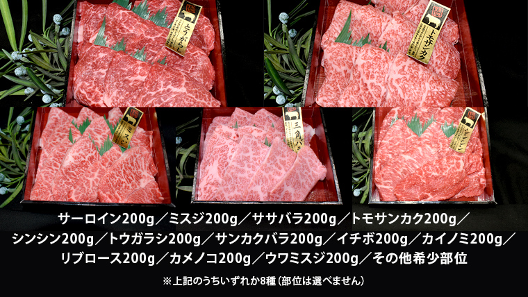 【スピード発送】【 常陸牛 希少部位 】 焼肉 食べ比べ 8種 セット ( 茨城県共通返礼品 ) 国産 焼き肉 バーベキュー BBQ お肉 サーロイン バラ ブランド牛