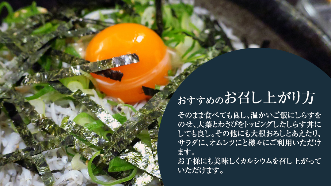 大津港水揚げ しらす干し 1kg (500g×2パック) (茨城県共通返礼品：北茨城市) しらす しらす丼 国内 水揚げ 新鮮 シラス 海鮮 冷凍 子ども カルシウム 減塩