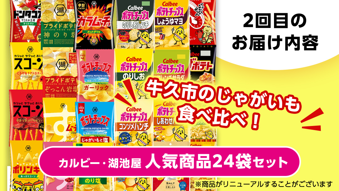 【 スナック菓子 3ヶ月 定期便 】 カルビー 湖池屋 人気 48袋 詰め合わせ バラエティ セット スナック ポテトチップス ポテチ ポテトチップ 菓子 お菓子 おかし おやつ おつまみ 大量 BIGBAG 堅あげポテト のりしお うすしお ブラックペッパー 頒布会 ジャガイモ じゃがいも まとめ買い