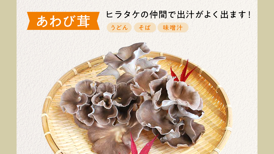 【 3ヶ月連続定期便 】きのこ の 詰め合わせ Lサイズ ( 約2kg ) （茨城県共通返礼品：城里町） キノコ セット 野菜 低カロリー ダイエット デトックス バラエティ セット 新鮮