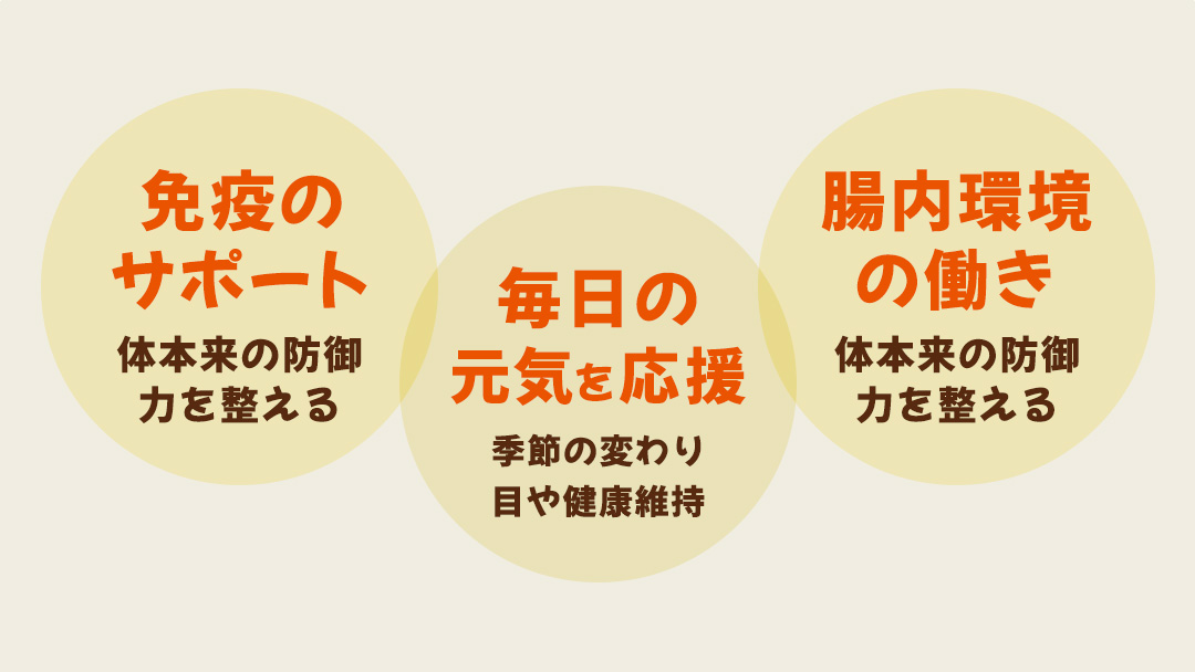 花びらたけ 粉末 3袋 セット（各 50g ） （茨城県共通返礼品：城里町） 花びら茸の粉末 ハナビラタケ 野菜 乾燥 花びらたけ きのこ パウダー 手軽 時短
