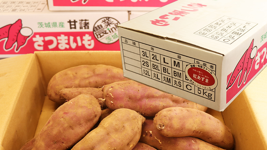 さつまいも【 紅あずま 】 5kg ( 箱込 ) サツマイモ さつま芋 芋 いも 野菜 焼き芋 スイーツ おやつ 国産
