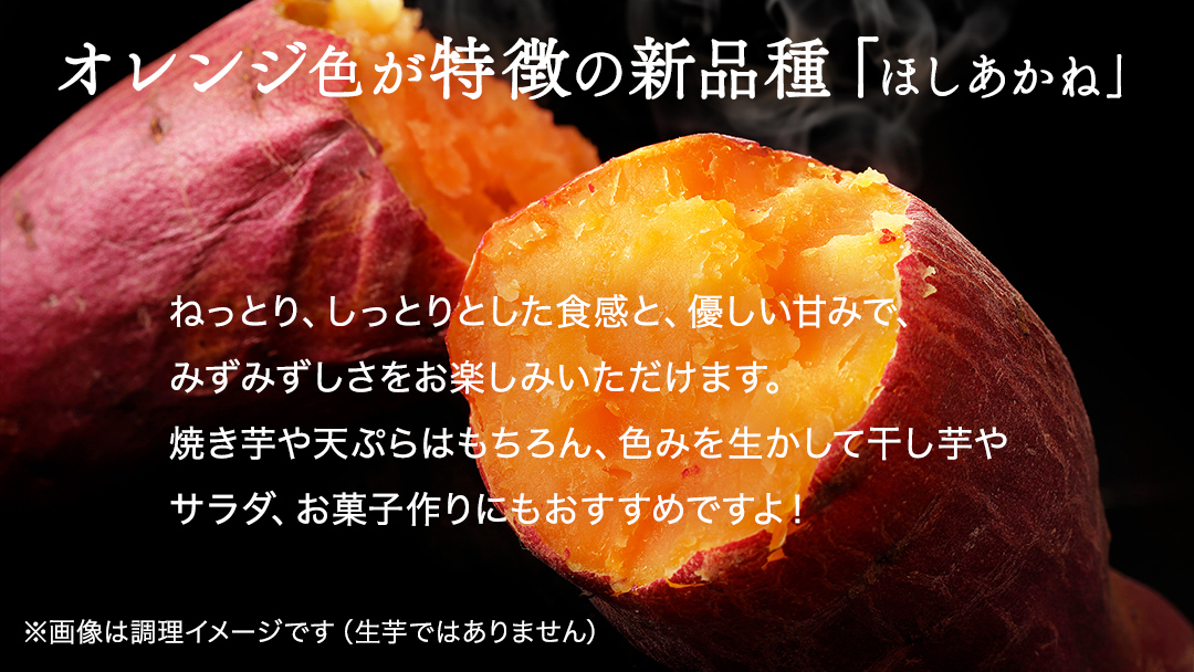 さつまいも 【 ふくむらさき ・ ほしあかね 】 5kg ( 箱込 )の 2箱セット サツマイモ さつま芋 芋 いも 野菜 焼き芋 スイーツ おやつ 国産