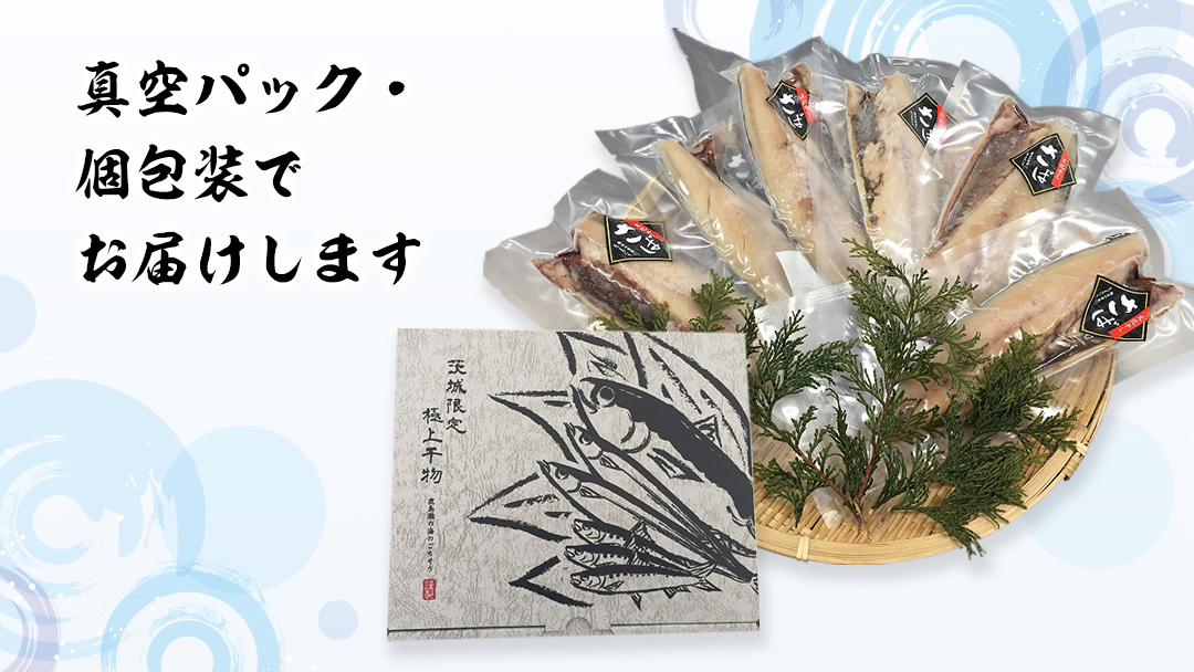 【 3ヶ月連続 定期便 】 大トロ さば文化 干し 1枚真空 6パック ( 茨城県共通返礼品 :神栖市 ) 海鮮 鯖 切り身 切身 さば サバ 干物 真空パック 真空包装 化粧箱 冷凍 ノルウェーさば