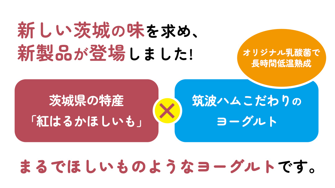 筑波ハム 『 まるでほしいも 』合計6個 ほしいもクン特製 化粧箱入り （100g×3個入り ×2箱） ( 茨城県共通返礼品 ) ヨーグルト 干し芋 干しいも ほし芋 紅はるか デザート お土産 手土産