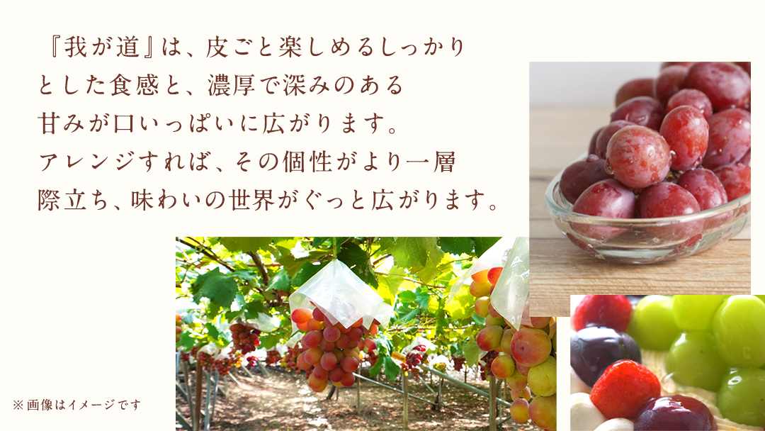 我が道 ２房【2026年9月上旬発送開始】(茨城県共通返礼品：大子町) シャインマスカット ウインク 葡萄 ブドウ ぶどう 果物 フルーツ 希少 新品種