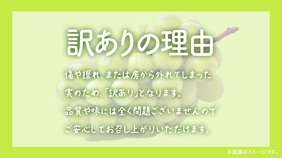 【 訳あり 】 シャインマスカット 4kg 【2026年8月発送開始】(茨城県共通返礼品：大子町) ぶどう 葡萄 マスカット フルーツ 果物 ワケあり ご自宅用 ご家庭用 自分用