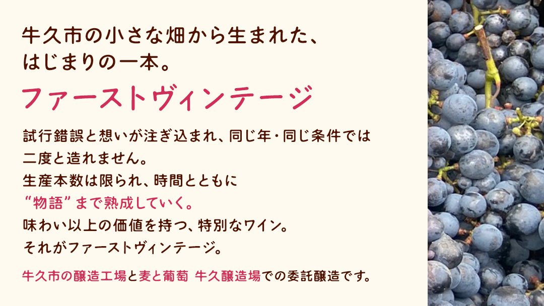 歩wine wild flower2025 ( 750ml ) 日本ワイン 牛久市 ブドウ 自然派ワイン 無濾過 ファーストヴィンテージ マスカット・ベーリーA ビジュノワール メルロー バルベーラ ワイン 酒 赤ワイン わいん