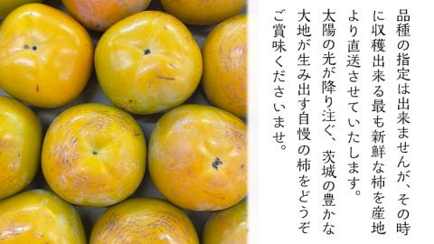 品種おまかせ 柿 約 3kg（ 茨城県共通返礼品：かすみがうら市 ） フルーツ かき カキ 果物 旬 新鮮 期間限定 甘い 国産