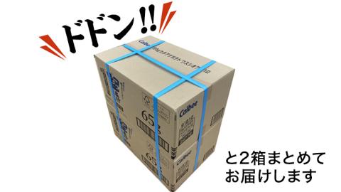 カルビー 堅あげポテト うすしお味 24袋 ( 2ケース ) 65g ポテチ お菓子 おかし 大量 スナック おつまみ ジャガイモ じゃがいも まとめ買い 数量限定