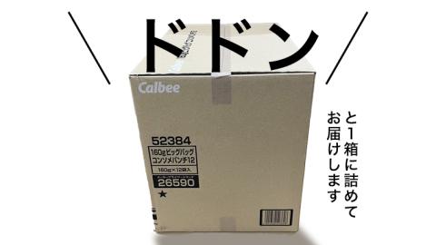 カルビー ポテトチップス BIGBAG 160g コンソメパンチ 1ケース ( 12袋 ) ポテチ お菓子 おかし 大量 スナック おつまみ じゃがいも 数量限定