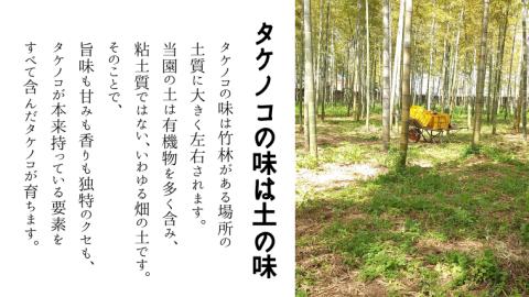 《 先行予約 》 新鮮な ゆでタケノコ 約2kg 竹の子 2キロ 筍 たけのこ 水煮 真空パック 国産 たけのこご飯 【2025年4月上旬以降発送】