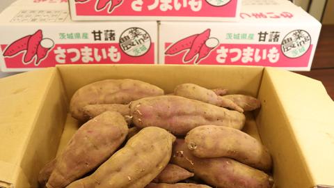 さつまいも【 紅あずま 】 5kg ( 箱込 ) サツマイモ さつま芋 芋 いも 野菜 焼き芋 スイーツ おやつ 国産