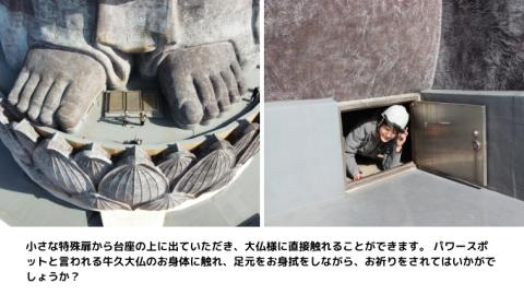 地上20ｍ 牛久大仏 足元 お身拭い 体験 ツアー ※ 平日限定 ※ （ 5名様まで ） 貸切 参加券 体験チケット 観光 ふるさと納税限定
