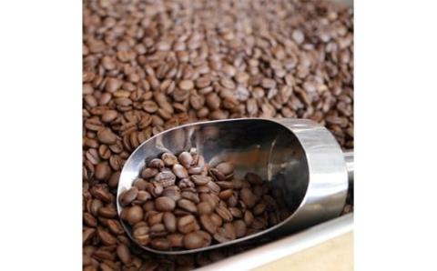 自家焙煎 レギュラー コーヒー ( 200g ) ドリップ コーヒーバッグ ( 10g × 5 )と ヘンプバッグ の セット 詰合せ コーヒー 珈琲 粉 ドリップパック ブレンド おいしい 美味しい