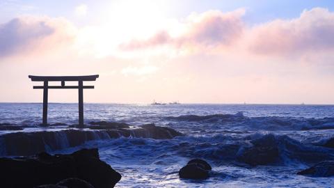 あんこう鍋 セット 5～6人前 ( 共通返礼品：茨城県大洗町 ) スープ付 茨城 名物 アンコウ 鮟鱇 鍋 あん肝 コラーゲン 冷凍 海鮮 魚介類 冬