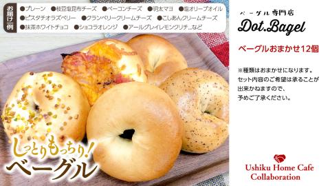 【牛久市限定コラボ】南部珈琲 オリジナル アイスコーヒー 1000ml × 3本セット ＆ Dot.Bagel おまかせ ベーグル 12個 コーヒー 珈琲 無糖 すっきり 自家焙煎 おすすめセット