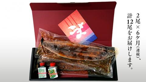 【 6ヶ月連続 定期便 】《 麻布しき 》 国産 有頭 鰻蒲焼 × 2尾 (計 12尾 ) うなぎ ウナギ 冷凍 蒲焼き かばやき たれ焼き 土用 丑の日 食べきり 父の日
