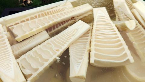 《 先行予約 》 掘りたて 穂先 ゆでたけのこ 約1kg 【 2026年 4月中旬 以降発送 】 野菜 春 旬 期間限定 数量限定 国産 産地直送 箱 真空パック 個包装 茹で 筍 タケノコ 竹の子