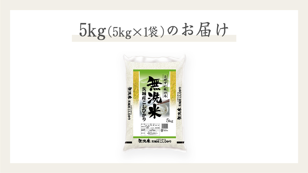 《 令和7年産 》 茨城県産 無洗米 コシヒカリ ( 5kg × 1袋 ) 期間限定 こしひかり 米 コメ こめ 五ツ星 高品質 白米 精米 時短 単一米