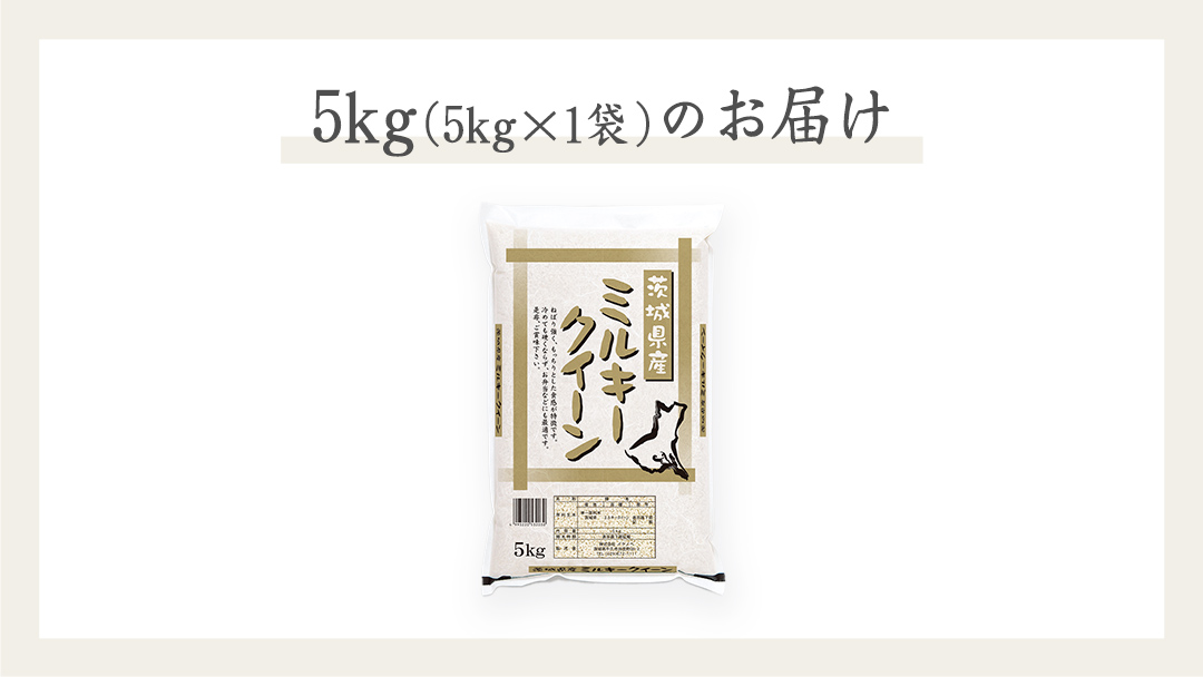 《 令和7年産 》 茨城県産 ミルキークイーン ( 5kg × 1袋 )  期間限定 米 コメ こめ 五ツ星 高品質 白米 精米 時短 単一米