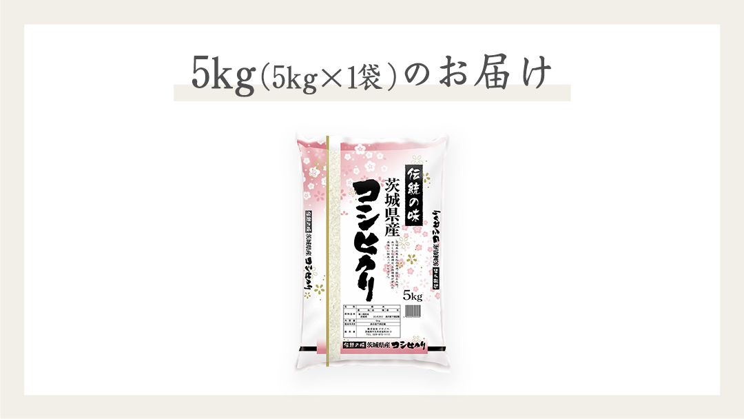 《 令和7年産 》 茨城県産 コシヒカリ 5kg ( 5kg × 1袋 ) 期間限定 こしひかり 米 コメ こめ 五ツ星 高品質 白米 精米 時短 単一米