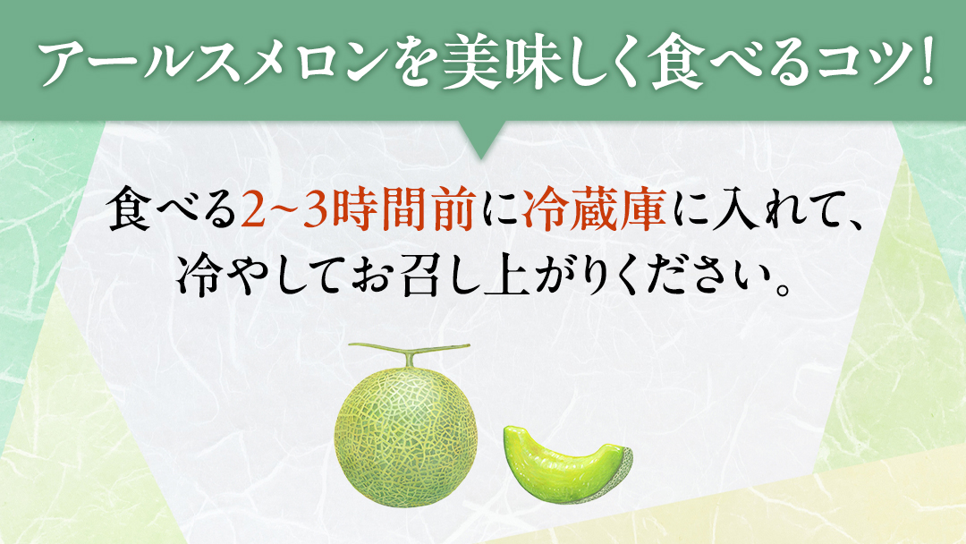 【 先行予約 】茨城県産 アールスメロン 秀品 3L サイズ × 2玉 入り おすすめ JA全農いばらき JA メロン めろん ふるさと納税 フルーツ 予約 マスクメロン くだもの 果物 国産旬 定番 旬 期間限定 青肉 果物 【 2025年8月下旬から発送 】