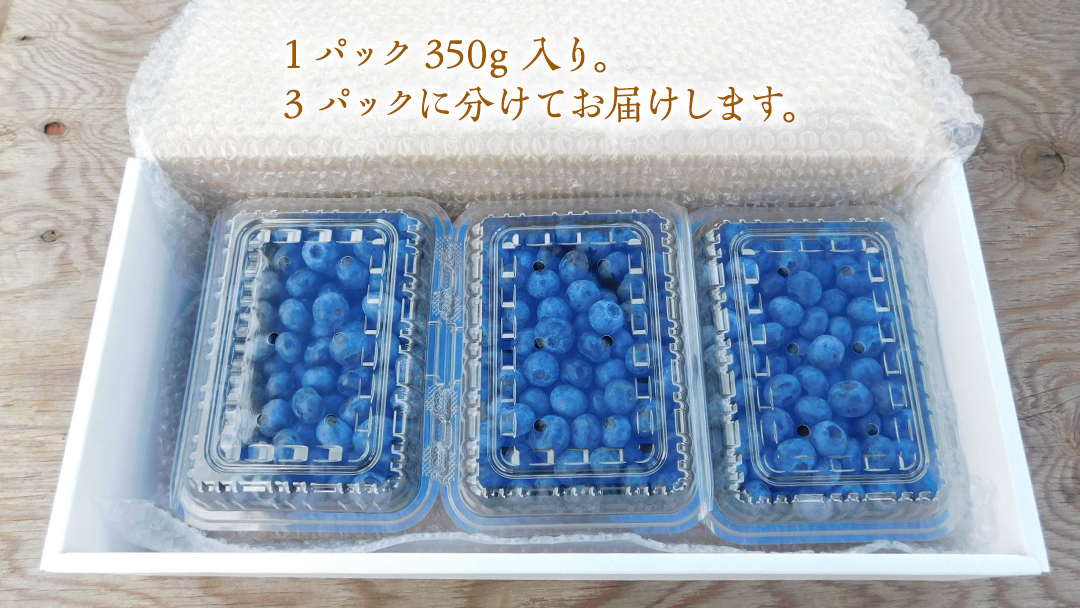 ≪先行予約≫ 朝採れ 完熟 ブルーベリー 1,050g （ 350g × 3パック ） 【 2026年 6月上旬頃より発送開始 】 数量限定 冷蔵 ベリー 甘い 甘酸っぱい 完熟 新鮮 フルーツ 果物