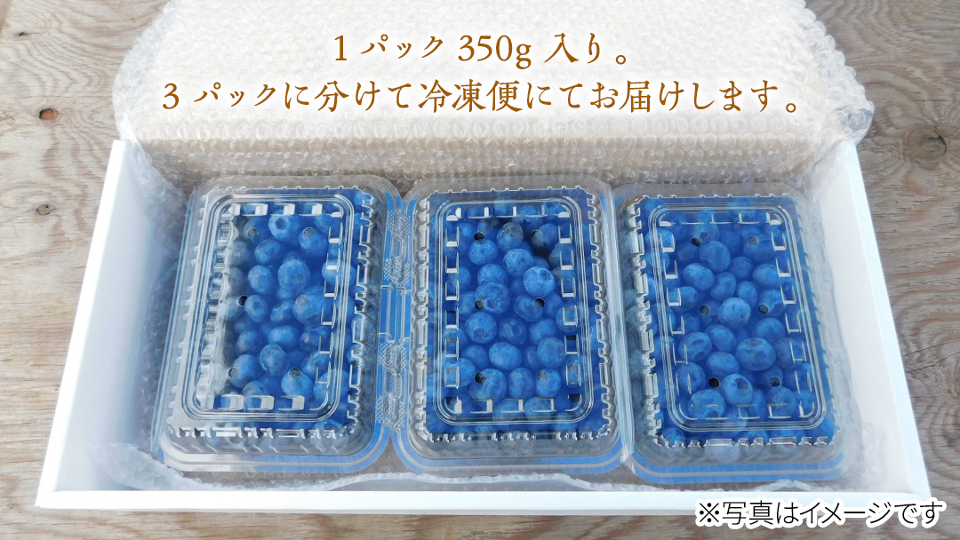 冷凍 完熟 ブルーベリー 1,050g（ 350g × 3パック ） 数量限定 ベリー 甘い 甘酸っぱい 完熟 新鮮 フルーツ 果物
