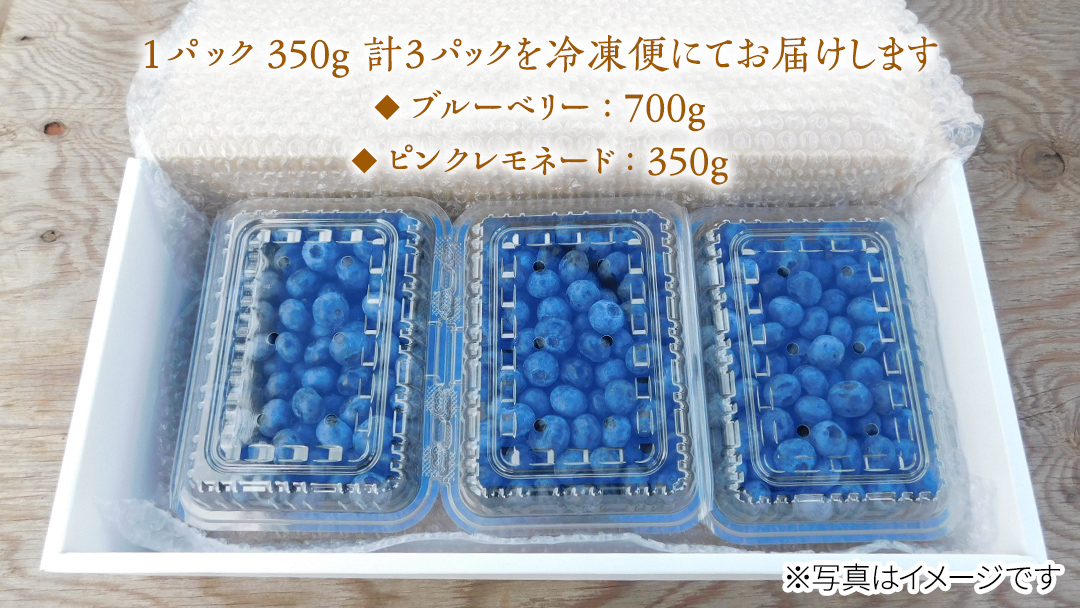 【 数量限定 】 冷凍 完熟 ブルーベリー 700g と ピンクレモネード 350g の 詰合せ セット 食べ比べ (1パックあたり 350g ) ベリー 甘い 甘酸っぱい 完熟 新鮮 フルーツ 果物 くだもの 贈り物 贈答 ギフト 国産 茨城 農園 産地直送