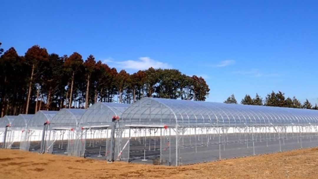 【 数量限定 】 牛久葡萄酒メルロー 2024（赤） 750ml 1本 お酒 牛久シャトー ワイナリー 赤ワイン ぶどう 国産ぶどう 葡萄 贈り物 ライトボディ 日本ワイン 茨城農芸学院 わいん