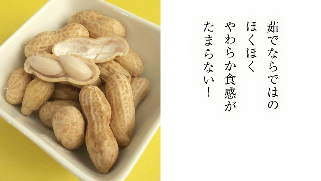 牛久市産 茹で 落花生 300g × 3袋 セット 計900g 茹で落花生 ゆで落花生 ピーナッツ ナッツ 詰合せ 豆 無塩 塩分不使用 おつまみ おやつ お菓子 素焼き マメ まめ 料理 お茶漬け 国産 小分け お取り寄せ グルメ 茨城県