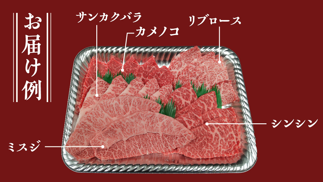 【スピード発送】【常陸牛】焼肉セット 400g (茨城県共通返礼品) 国産 牛肉 肉 お肉 焼き肉 バーベキュー BBQ カメノコ サンカクバラ ミスジ イチボ ササミ ザブトン シンシン カイノミ ボンジョー タテバラ 三角バラ サイコロステーキ サーロイン リブロース ランプ ウワミスジ ヒレ