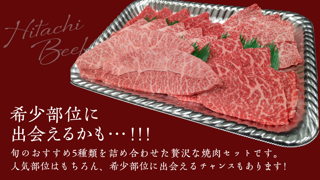 【常陸牛】焼肉セット 800g (400g×2パック） (茨城県共通返礼品) 国産 牛肉 肉 お肉 焼き肉 バーベキュー BBQ カメノコ サンカクバラ ミスジ イチボ ササミ ザブトン シンシン カイノミ ボンジョー タテバラ 三角バラ サイコロステーキ サーロイン リブロース ランプ ウワミスジ ヒレ