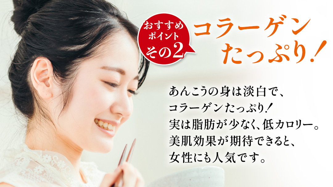 あんこう鍋セット 4～6人前 ( 茨城県共通返礼品： 大洗町 ) アンコウ 鮟鱇 鍋 あん肝 冷凍 手軽 コラーゲン 魚介 名物 国内水揚げ スープ付 海鮮