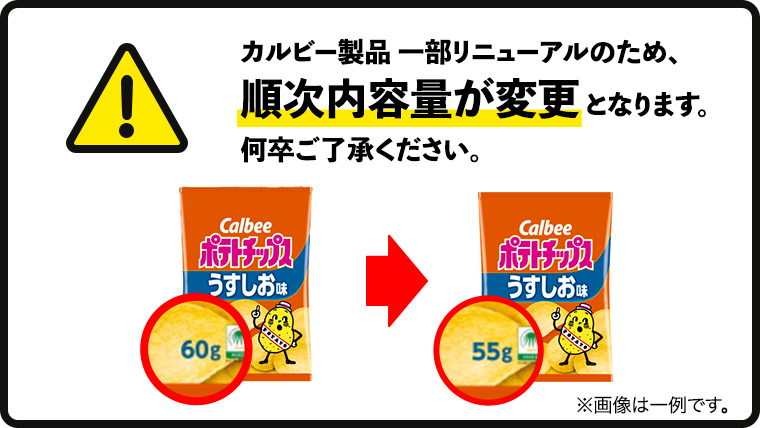 【 3ヶ月 連続 定期便 】 カルビー 湖池屋 人気 24種 詰め合わせ お楽しみ 24袋 スナック菓子 セット カルビー 湖池屋 ポテトチップス ポテチ お菓子 おかし 大量 スナック おつまみ