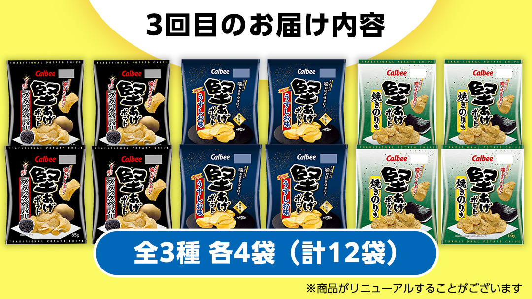 【 スナック菓子 3ヶ月 定期便 】 カルビー 湖池屋 人気 48袋 詰め合わせ バラエティ セット スナック ポテトチップス ポテチ ポテトチップ 菓子 お菓子 おかし おやつ おつまみ 大量 BIGBAG 堅あげポテト のりしお うすしお ブラックペッパー 頒布会 ジャガイモ じゃがいも まとめ買い