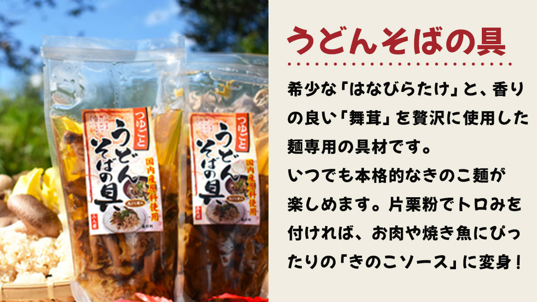 きのこ の 加工品 詰め合わせ 5点セット （茨城県共通返礼品：城里町） きのこミックス 野菜 水煮 国産 きのこ ご飯の素 国産 うどん そばの具 乾燥 しいたけ 乾燥 きくらげ