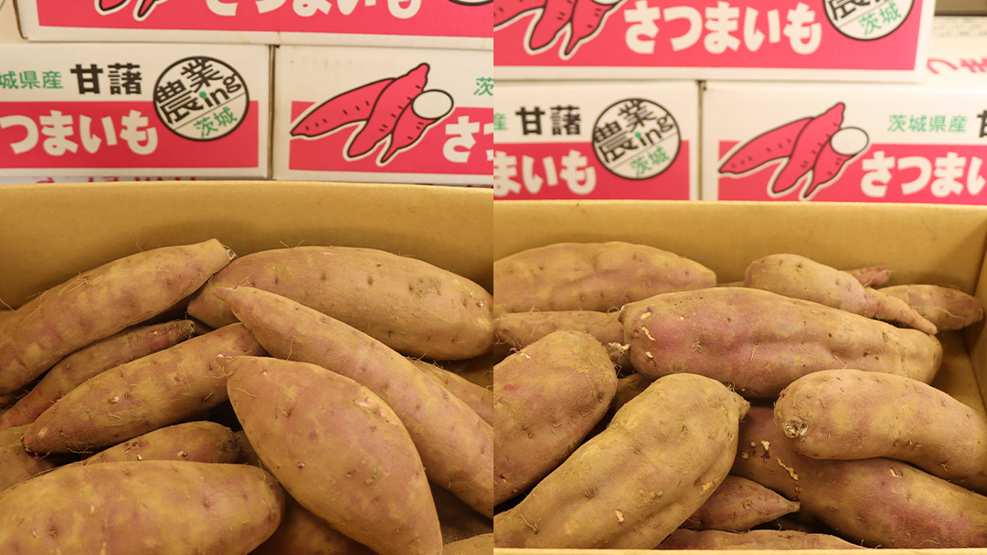 さつまいも 【 シルクスイート ・ 紅あずま 】 5kg ( 箱込 )の 2箱セット さつまいも 詰合せ 国産 農園 野菜 サツマイモ 芋 期間限定 デザート スイーツ おやつ 料理 味噌汁 煮物 生芋