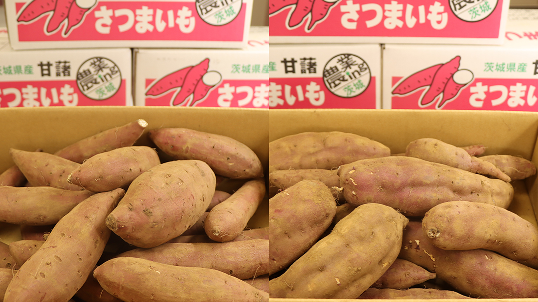 さつまいも 【 紅あずま ・ 紅はるか 】 5kg ( 箱込 )の 2箱セット さつまいも 詰合せ 国産 農園 野菜 サツマイモ 芋 期間限定 デザート スイーツ おやつ 料理 味噌汁 煮物 生芋