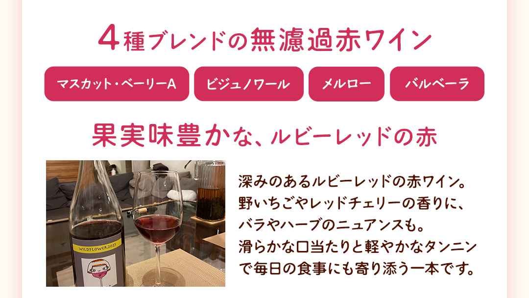 歩wine wild flower2025 ( 750ml ) 日本ワイン 牛久市 ブドウ 自然派ワイン 無濾過 ファーストヴィンテージ マスカット・ベーリーA ビジュノワール メルロー バルベーラ ワイン 酒 赤ワイン わいん