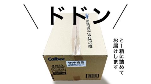【 カルビー 3ヶ月 定期便 】 堅あげポテト 3種 各4袋 セット ( 計12袋 ) うすしお ブラックペッパー 焼きのり 堅あげ かたあげ ポテト ポテチ お菓子 おかし 大量 スナック おつまみ